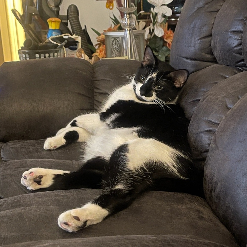 Meet your Posher, Cindy